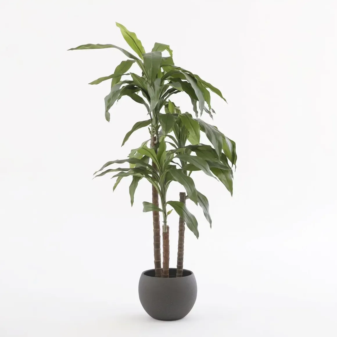 Dracaena Kunstplant – H100 x Ø70 cm
