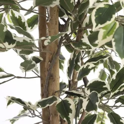 Ficus Kunstplant – H180 x Ø90 cm – Groen Bont