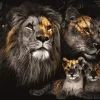 Glasschilderij Leeuwenfamilie met 2 welpjes