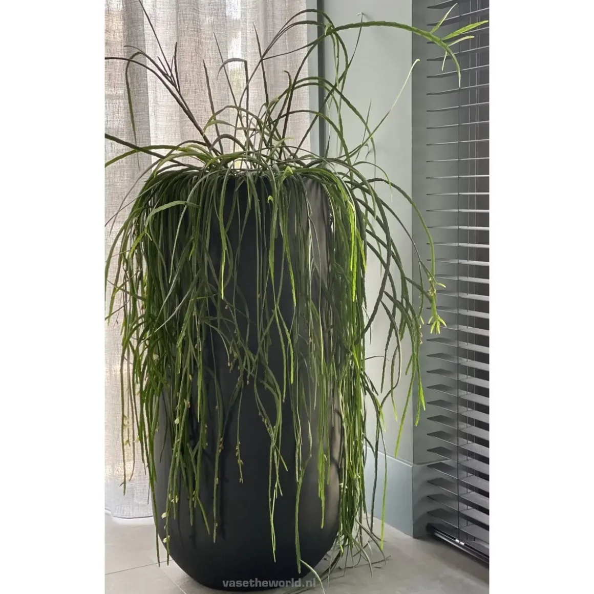 Hoge zwarte xxl vaas Idaho black 70 of 100 cm