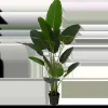 Kunstplant Bananenboom in Pot – H180 x Ø30 cm – Groen