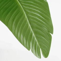 Kunstplant Bananenboom in Pot – H180 x Ø30 cm – Groen