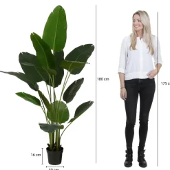 Kunstplant Bananenboom in Pot – H180 x Ø30 cm – Groen
