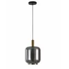 Lily Hanglamp 1-bol