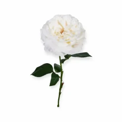 Losse zijden bloem wit 60 cm