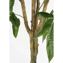 Pachira Kunstplant – H120 x Ø50 cm – Groen