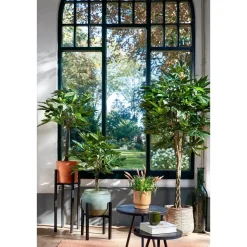 Pachira Kunstplant – H120 x Ø50 cm – Groen