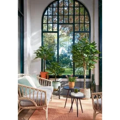 Pachira Kunstplant – H150 x Ø65 cm – Groen