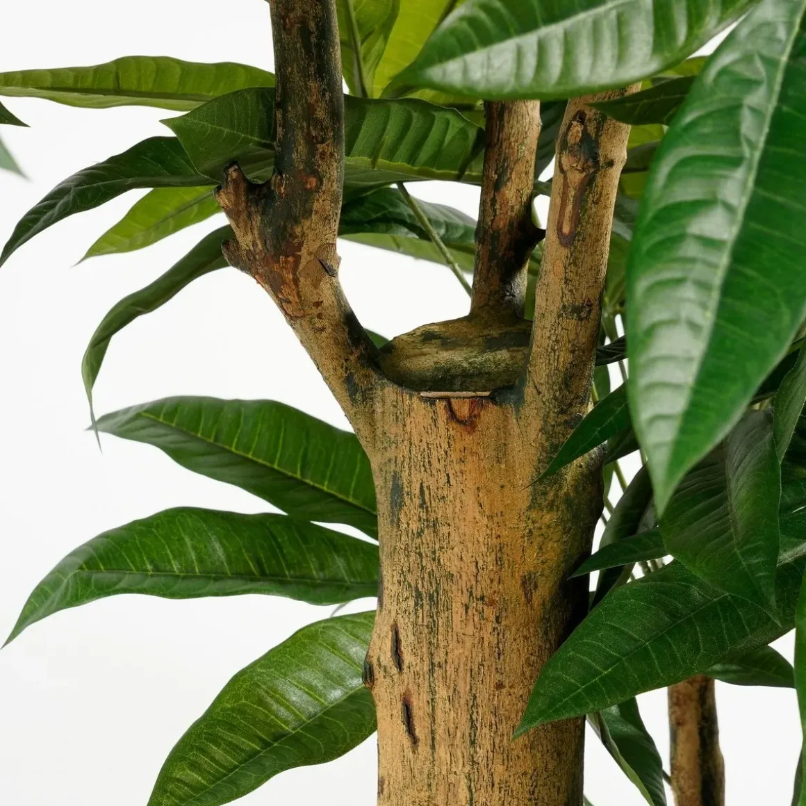 Pachira Kunstplant – H175 x Ø85 cm – Groen