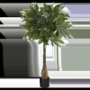 Pachira Kunstplant – H80 x Ø60 cm – Groen