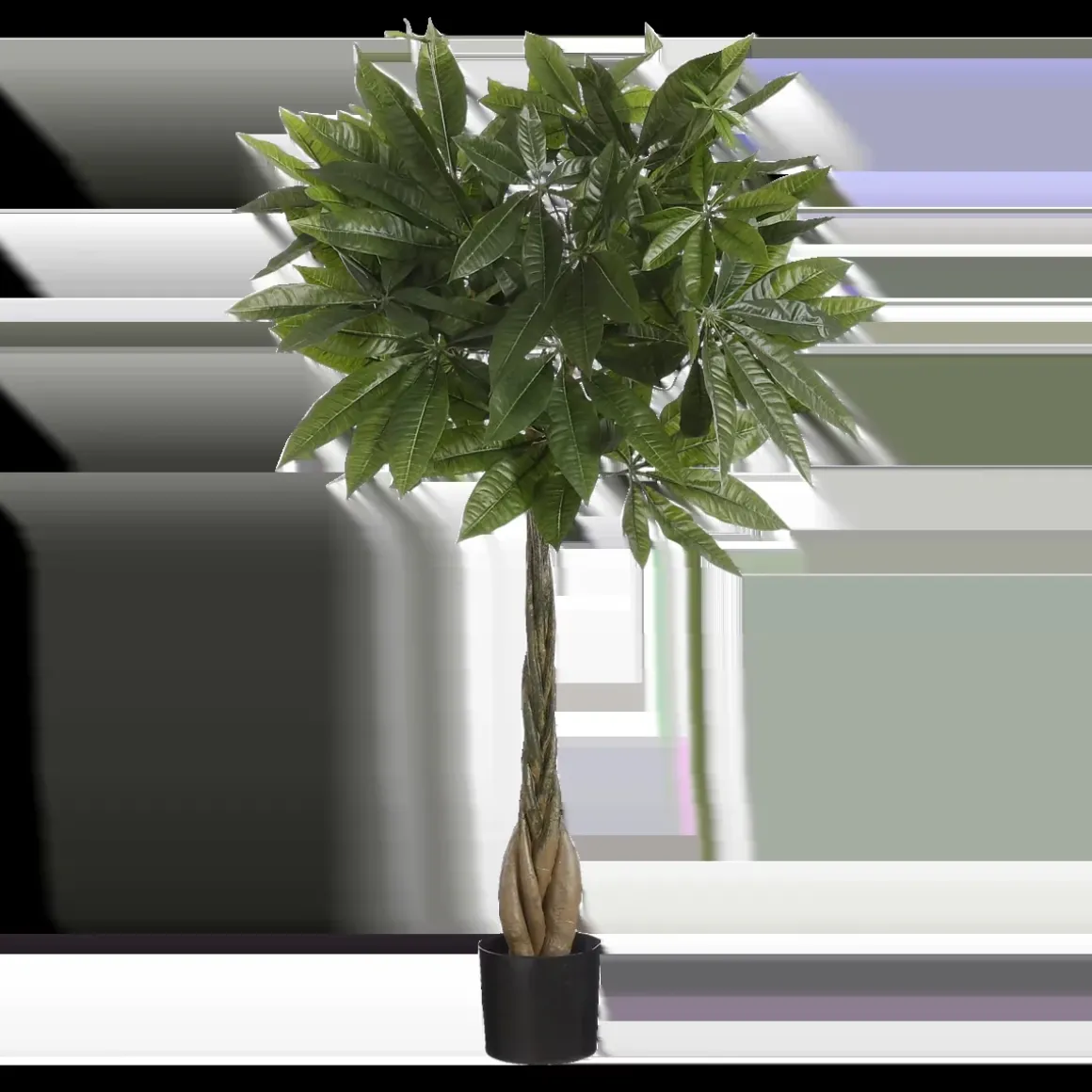 Pachira Kunstplant – H80 x Ø60 cm – Groen