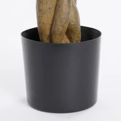 Pachira Kunstplant – H80 x Ø60 cm – Groen