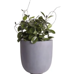 Pot – Ducos big grey