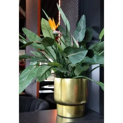 Pot – Roskilde gold