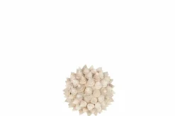 Schelp bal beige decoratie S Ø12cm