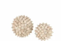 Schelp bol beige decoratie M Ø15cm