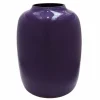 Vaas – Artic purple