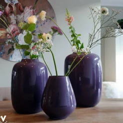 Vaas – Artic purple