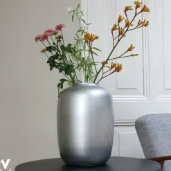 Vaas – Artic silver