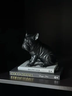 Vakkenkast decoratie set Luxury met zwart buldog beeld
